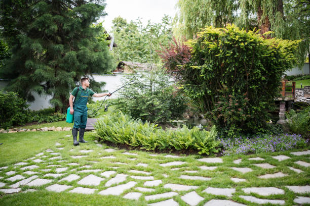 Best Affordable Pest Control Services  in Flint Hill, MO