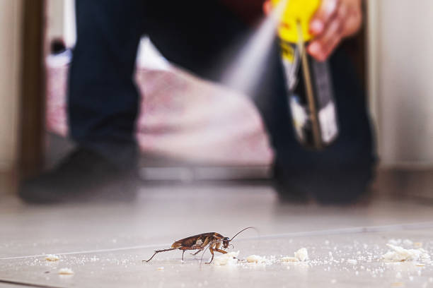 Professional Pest Control in Flint Hill, MO